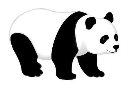 An image of a panda